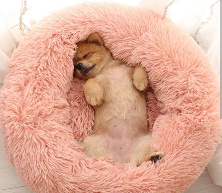 Cama Tipo Nido Perro y Gato Talla M