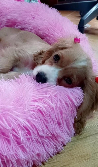 Cama Tipo Nido Perro y Gato Talla M